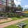 an activity field with corn hole
